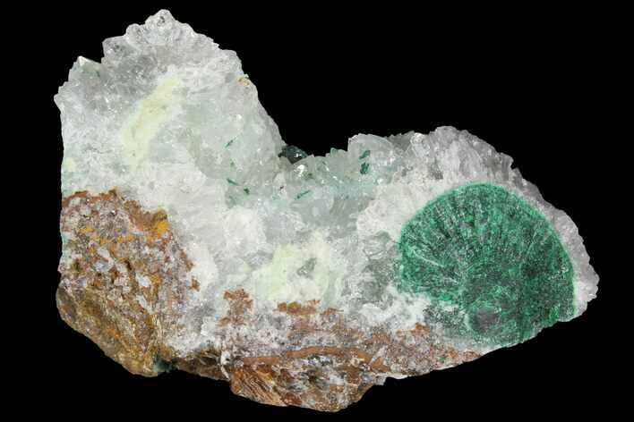 Atacamite & Quartz Crystal Association - Peru #98164